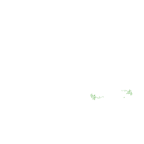 Karaf by Bahçe