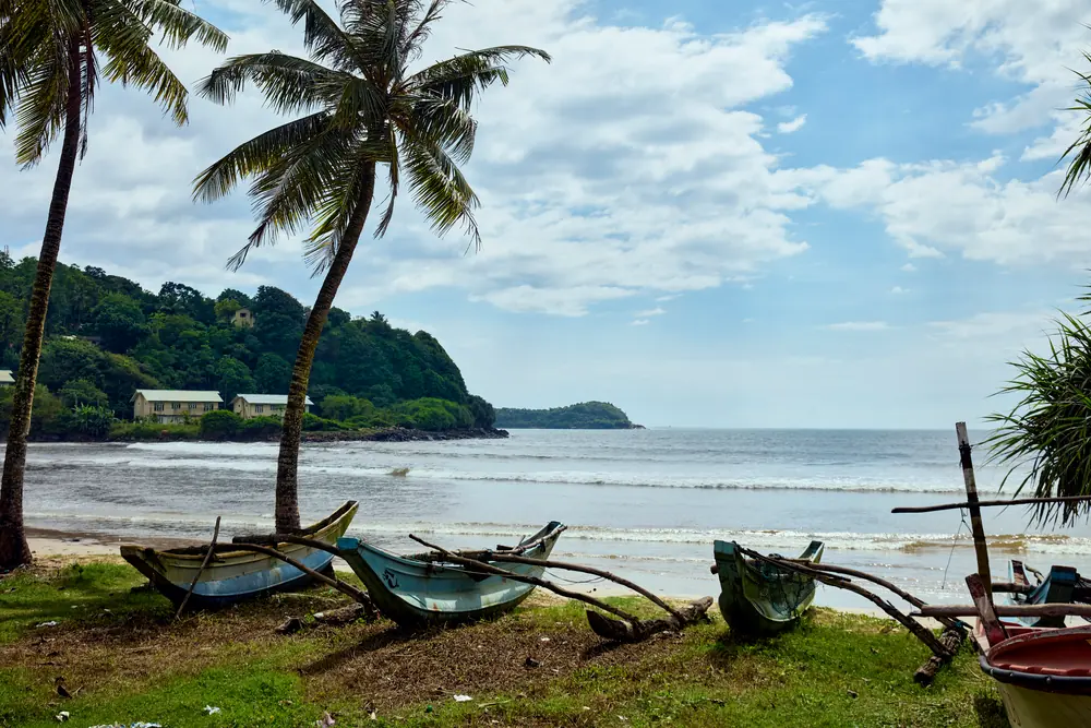 Traditional outrigger fishing boats drawn up on the beach near Galle