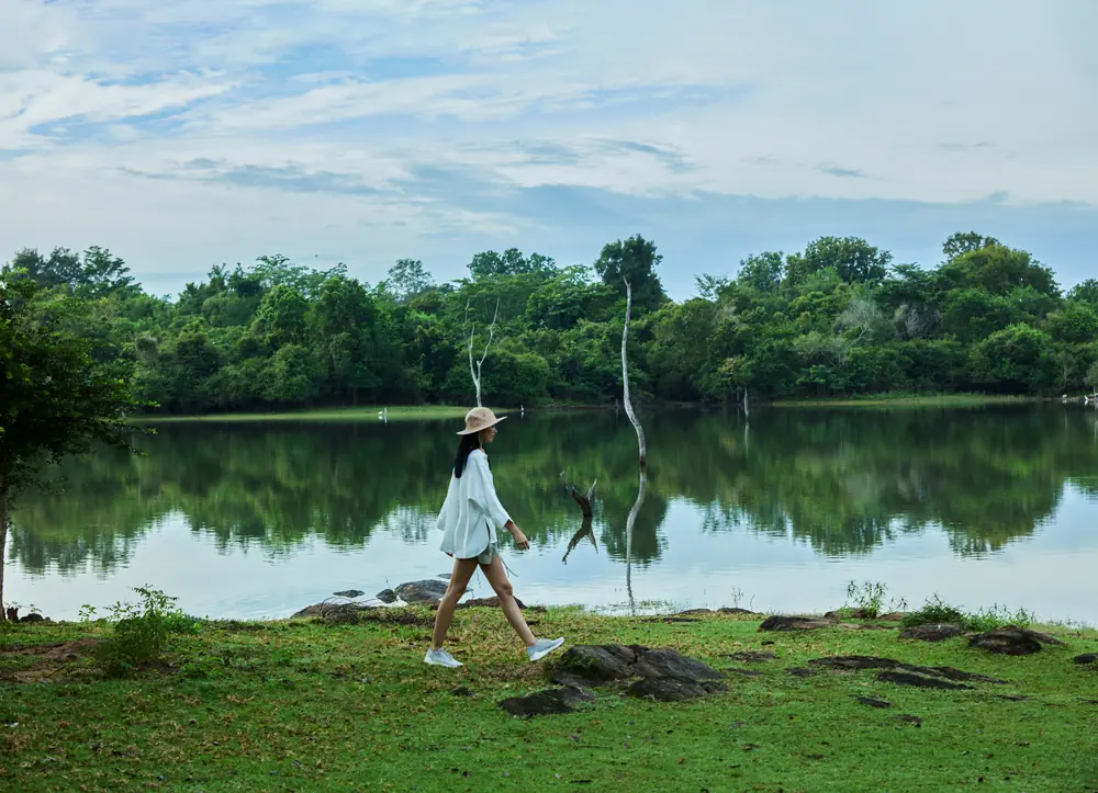 A lagoon inland from the coast near Galle